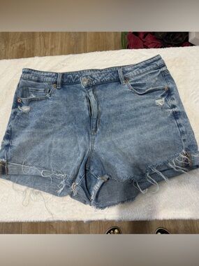 American Eagle Outfitters Light Blue Distressed Denim Shorts